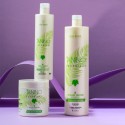 Gamme The Tanino, Shampooing, Protéine & Masque pour Cheveux Normaux